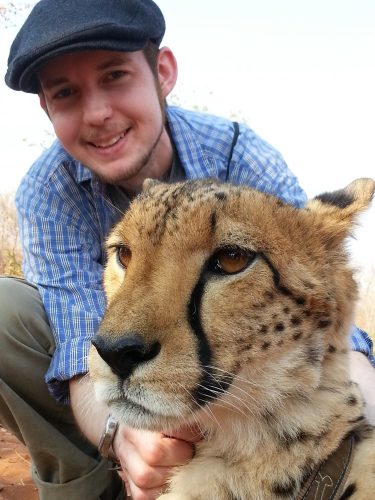 Cheetah 375x500